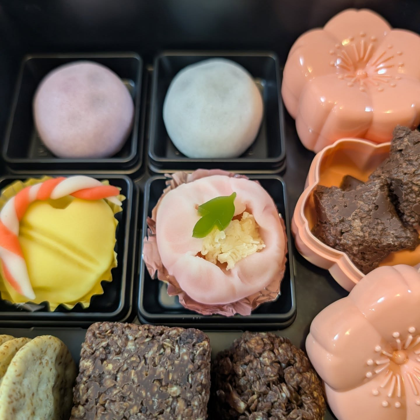 あけましておめでとうございます✨