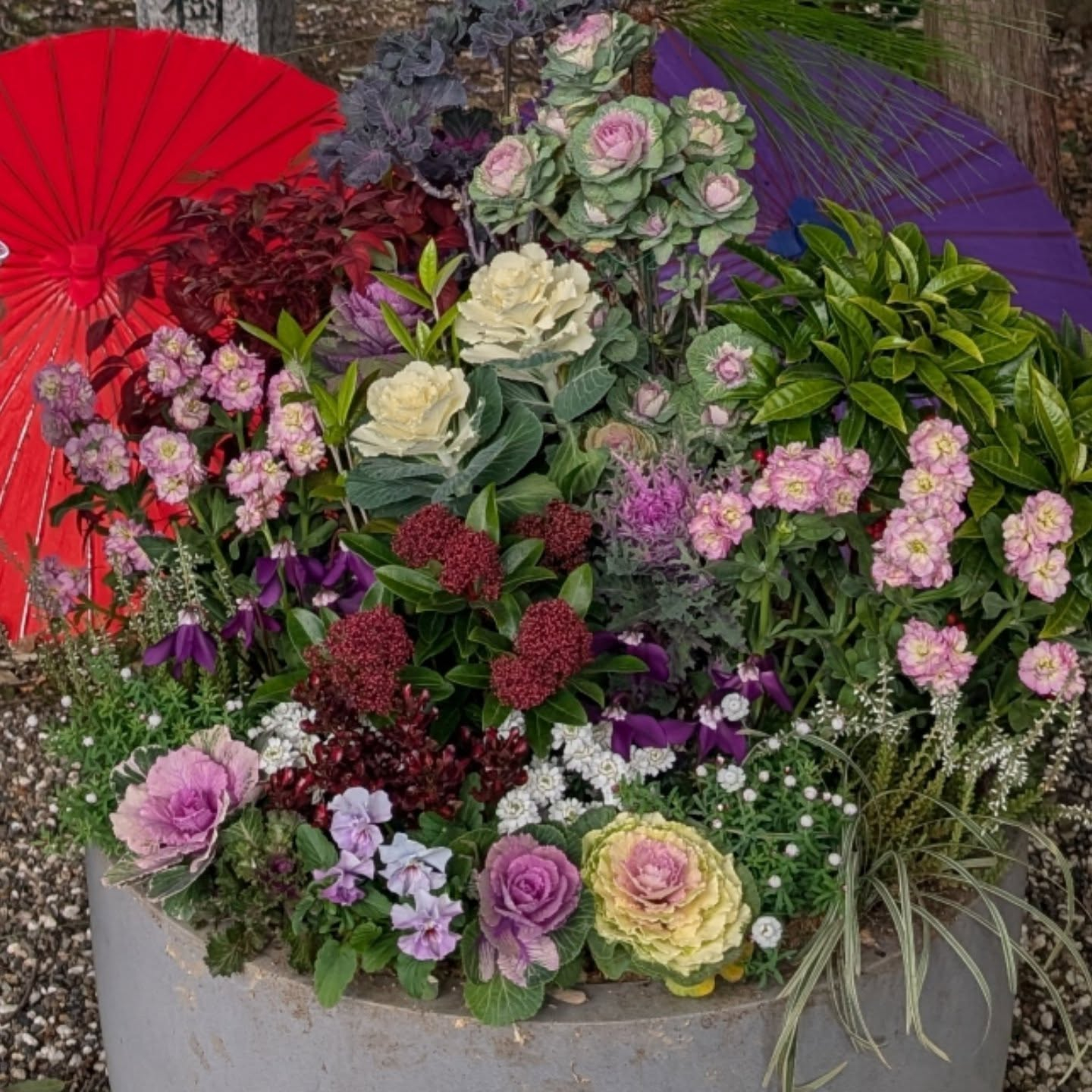 あけましておめでとうございます✨